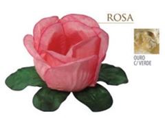 FORMA BUG. ROSA - OURO C/VERDE 24 UN