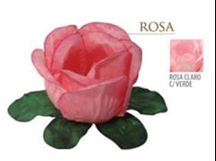 FORMA BUG. ROSA - ROSA CL C/VERDE 24 UN