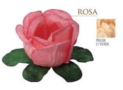 FORMA BUG. ROSA - PALHA C/ VERDE 24 UN