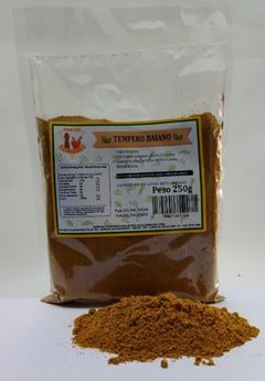 TEMPERO BAIANO 250GR NORTAO